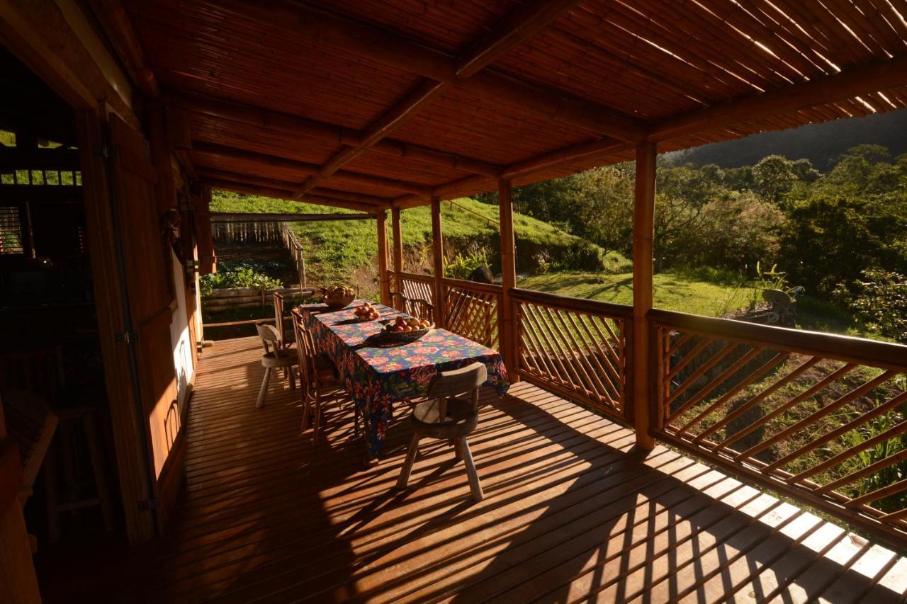 Vista Alegre Ecoaventuras, Trilhas E Cachoeiras *